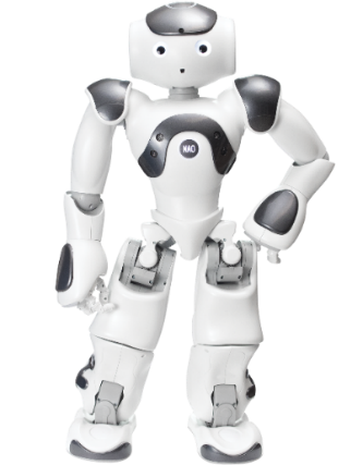 Image result for NAO robot
